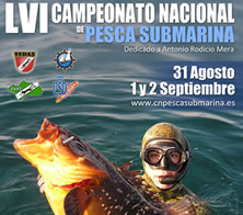 Campeonato de Espaa 2012